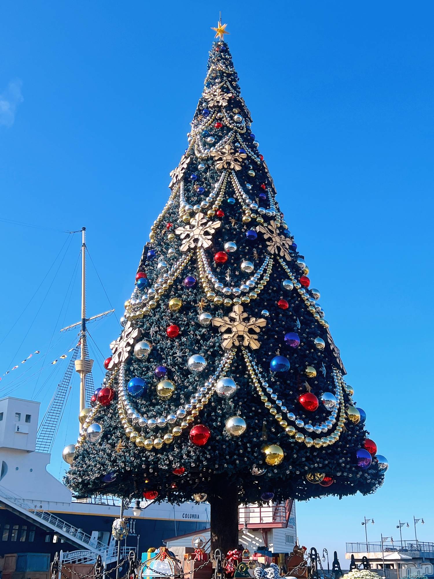 ��ë����Х��顦�����CLUB��Paladin(����֡��ѥ�ǥ���) ��2025ǯ11��20���̥�֥�����🎄.*��