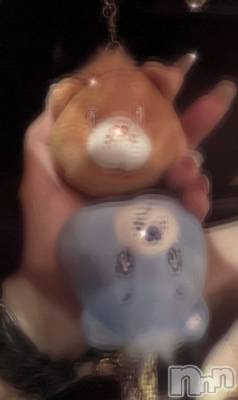 ��ë����Х��顦�����CLUB��Paladin(����֡��ѥ�ǥ���) ����� ���ꤵ��8��17���̥�֥�����🦕🧡��