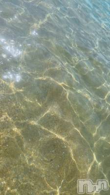 ��ë����Х��顦�����CLUB��Paladin(����֡��ѥ�ǥ���) ����� ���ꤵ��8��20���̥�֥�����🦕🧡��