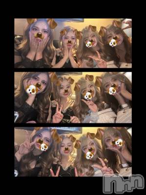 ��ë����Х��顦�����CLUB��Paladin(����֡��ѥ�ǥ���) ����� ���ꤵ��4��8���̥�֥�����🐶🐶🐶🐶��