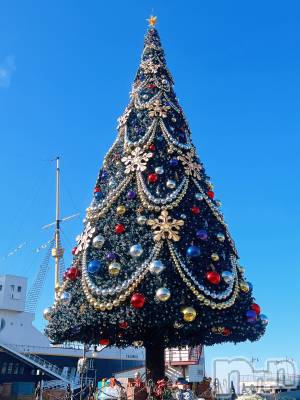 ��ë����Х��顦�����CLUB��Paladin(����֡��ѥ�ǥ���) ����� ���ꤵ��11��20���̥�֥�����🎄.*��