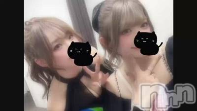 🐈‍⬛🐈‍⬛