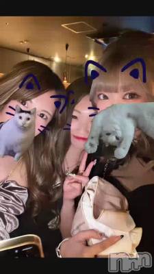 ǭ�ߡ���🐱ྀི🐱ྀི🐱ྀི