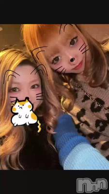 🐱����🐱