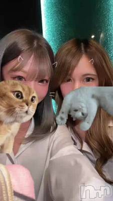 Y����ĥ��٥��🤳🏼👔