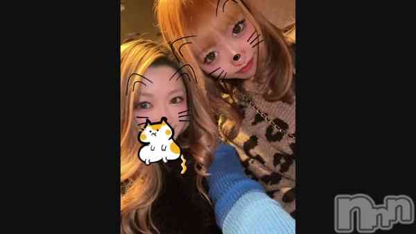 ����� ���ꤵ��🐱����🐱��