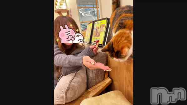 ����� ���ꤵ��🐈🐾��