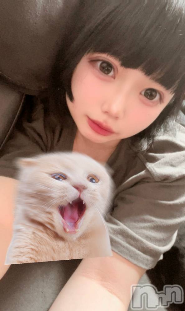 Ʋʥå륺С@إ餸ʤ BR(إ饸ʥ) Ϥˤ72̥֥֥󥹥TikTokҤꤿá