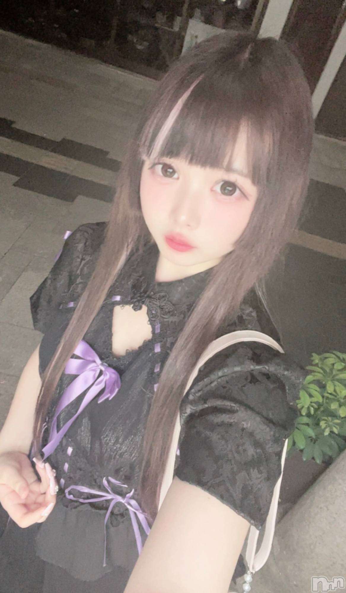 Ʋʥå륺С@إ餸ʤ BR(إ饸ʥ) 2025ǯ75̥֥7θꥫƥ🌺🌴