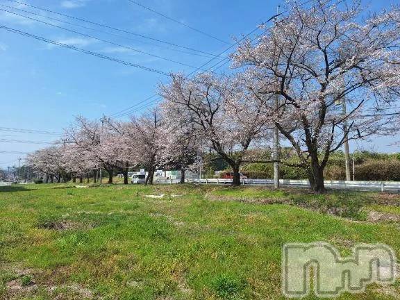 新潟デリヘル熟女の風俗 最終章(ジュクジョノフウゾクサイシュウショウ) ひな(38)の4月8日写メブログ「夜🌃のお誘い❤️待ってるね」