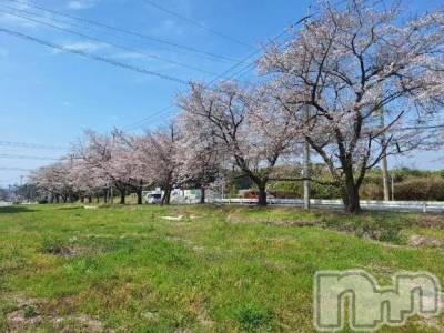 新潟デリヘル 熟女の風俗 最終章(ジュクジョノフウゾクサイシュウショウ) ひな(38)の4月8日写メブログ「夜🌃のお誘い❤️待ってるね」