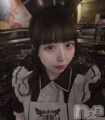 ܱХ顦CLUB FOUR LEAF(ե꡼) Τ519̥֥֤