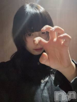 ܱХ顦CLUB FOUR LEAF(ե꡼) Τ917̥֥֤