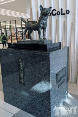 新潟デリヘル 奥様特急 新潟店(オクサマトッキュウニイガタテン) いまり(35)の1月26日写メブログ「新潟着きました！」