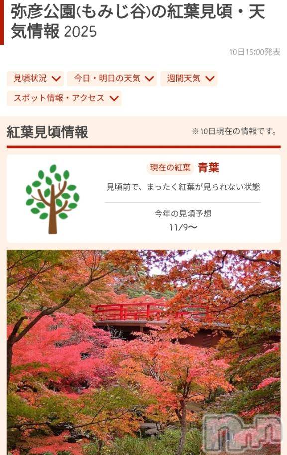 長岡デリヘル奥様特急 長岡店(オクサマトッキュウナガオカテン)ゆゆか(30)の2025年10月10日写メブログ「オススメある？❤️」