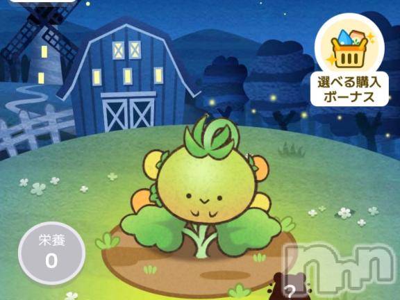 長岡デリヘル奥様特急 長岡店(オクサマトッキュウナガオカテン)るなん(32)の2026年2月12日写メブログ「育成中(//∇//)」