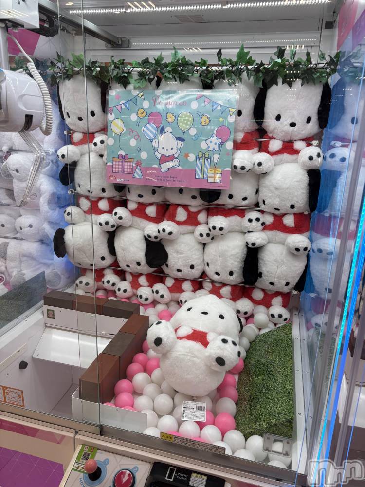 ĮХ顦֥ ץ ( ץ ) ŷ椤1030̥֥1030 1956ʬΥ֥