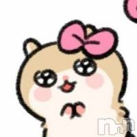 ŷ�����椤 ��Į����Х��顦����� ����� �ץ���� ����(����� �ץ���� ������)���ҡ�