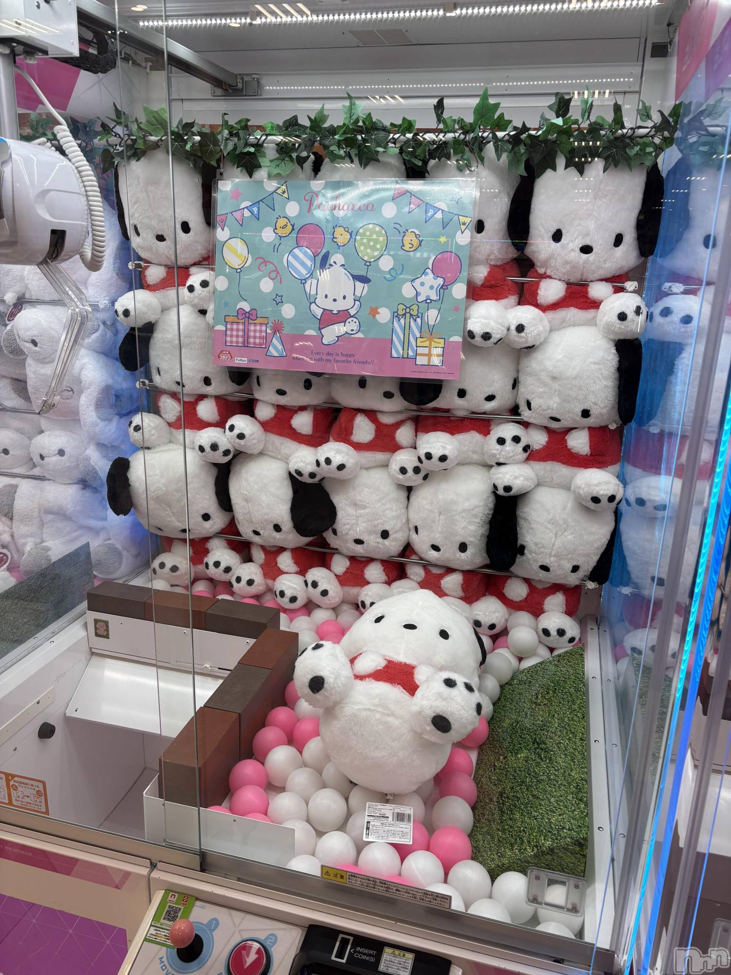 ĮХ顦֥ ץ ( ץ ) 2025ǯ1030̥֥1030 1956ʬΥ֥