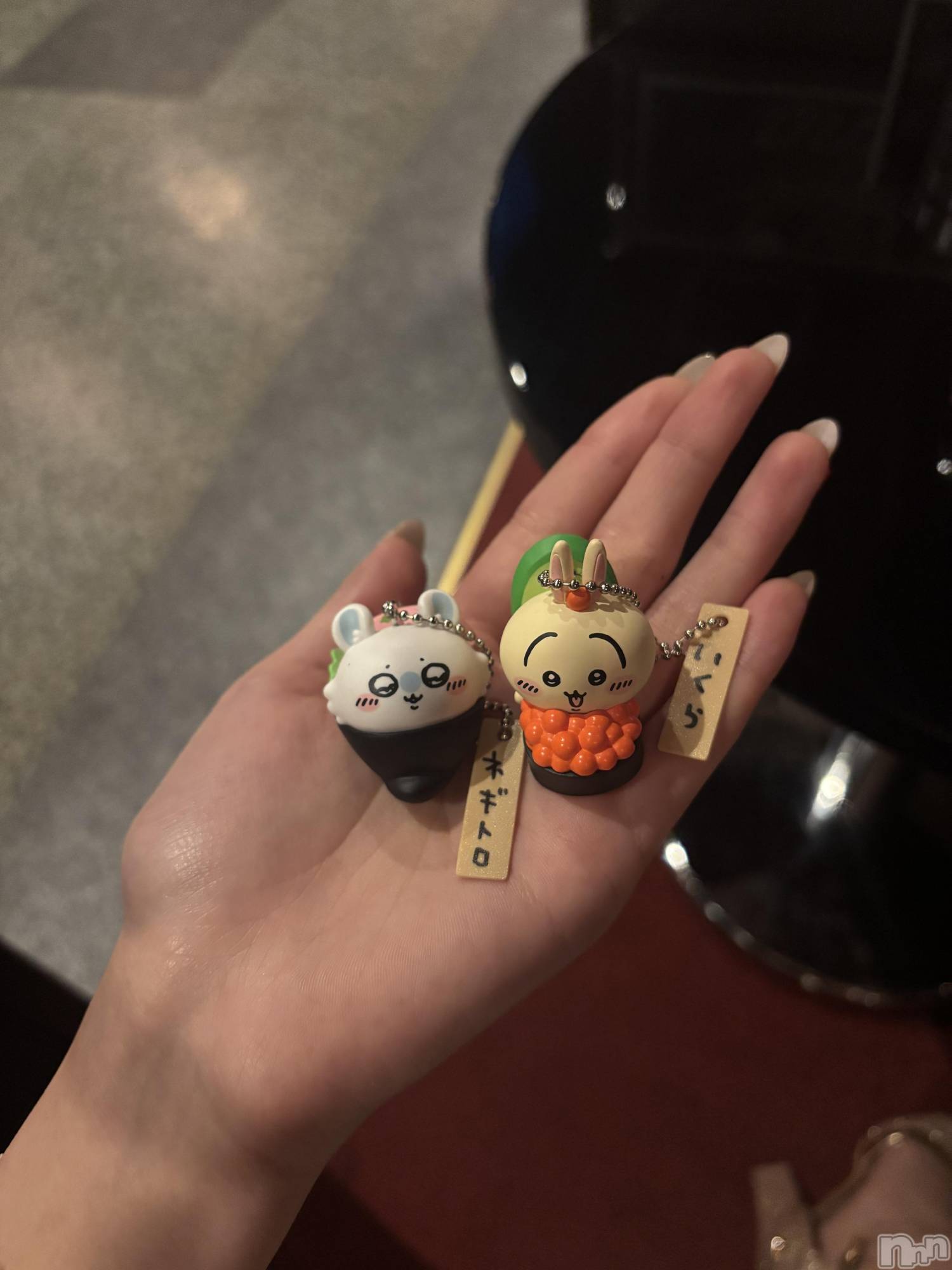 ĮХ顦֥ ץ ( ץ ) 2025ǯ126̥֥126 2327ʬΥ֥