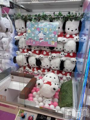 ĮХ顦֥ ץ ( ץ ) ŷ椤1030̥֥1030 1956ʬΥ֥