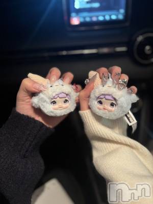 ĮХ顦֥ ץ ( ץ ) ŷ椤1125̥֥1125 2235ʬΥ֥