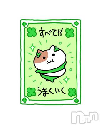 ĮХ顦֥ ץ ( ץ ) ŷ椤1125̥֥1125 2239ʬΥ֥