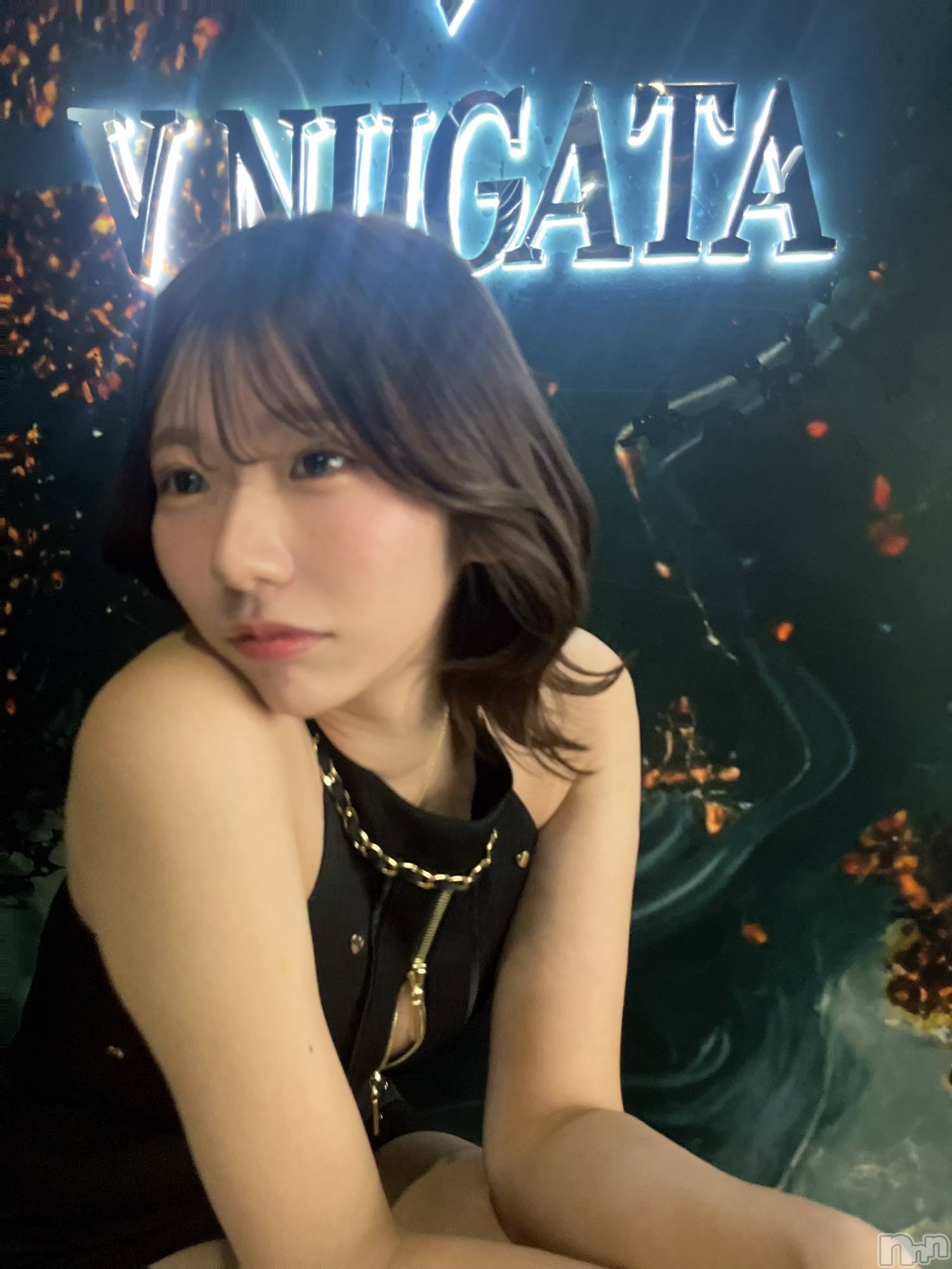 ĮХ顦V-niigata-(֥˥) 2025ǯ120̥֥֤Ϥ
