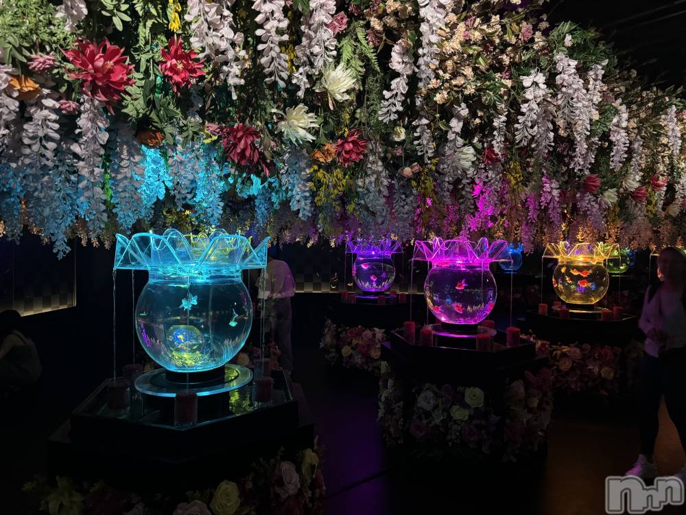 ƲХ顦Lounge Veranda(饦󥸥٥) ޤʤߤ214̥֥🌼*