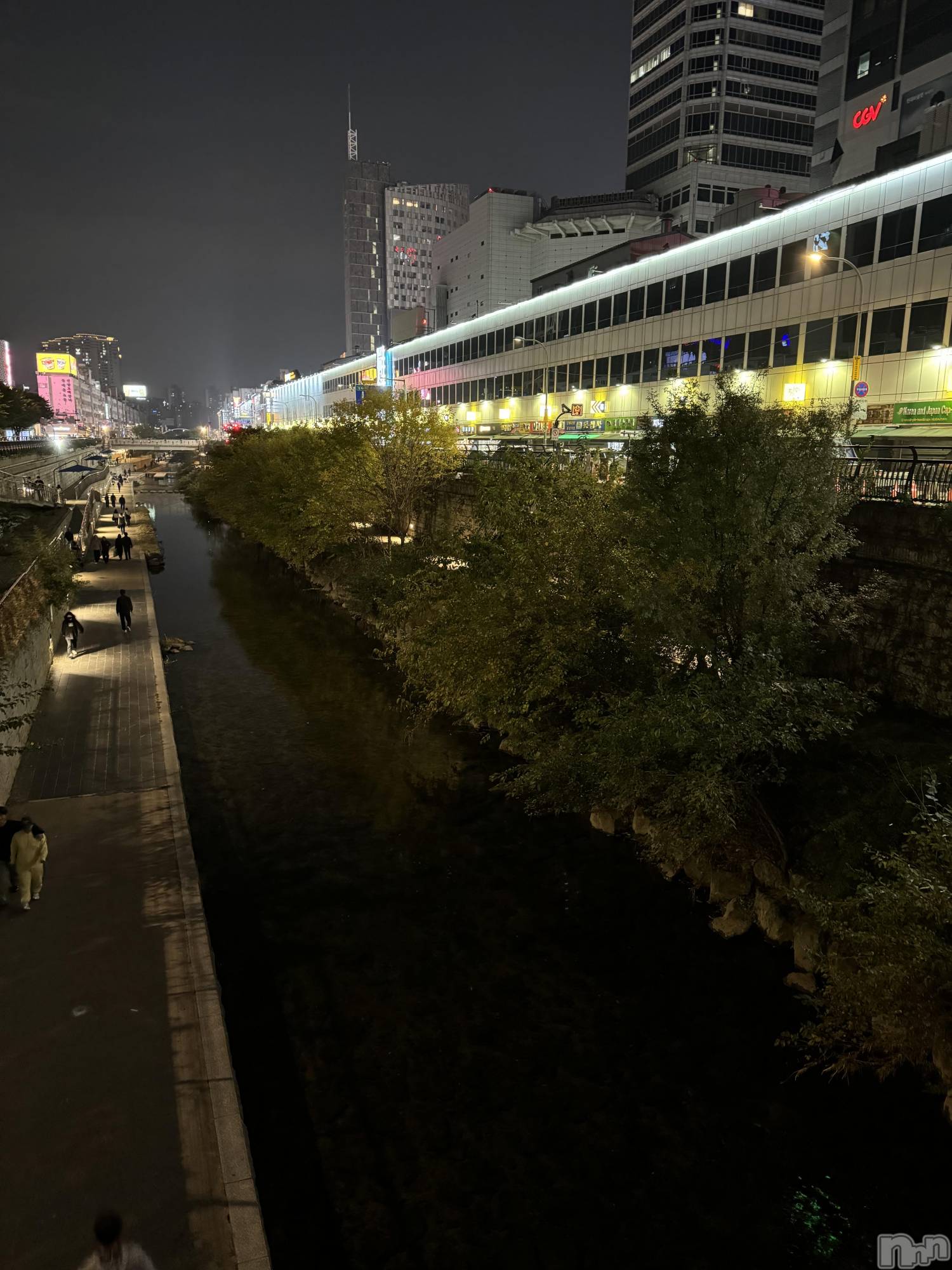 ƲХ顦Lounge Veranda(饦󥸥٥) 2025ǯ121̥֥🌼*