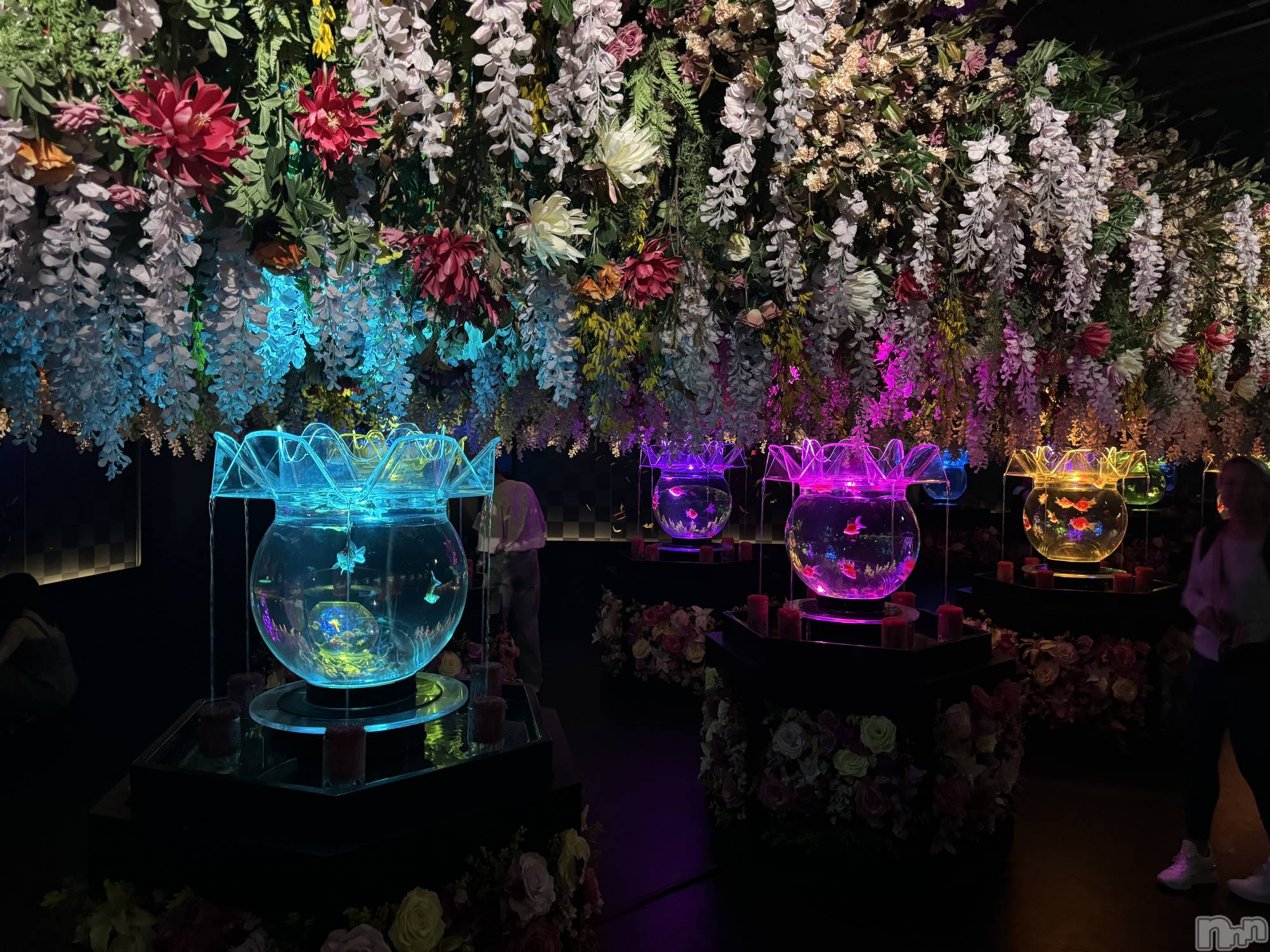 ƲХ顦Lounge Veranda(饦󥸥٥) 2025ǯ214̥֥🌼*