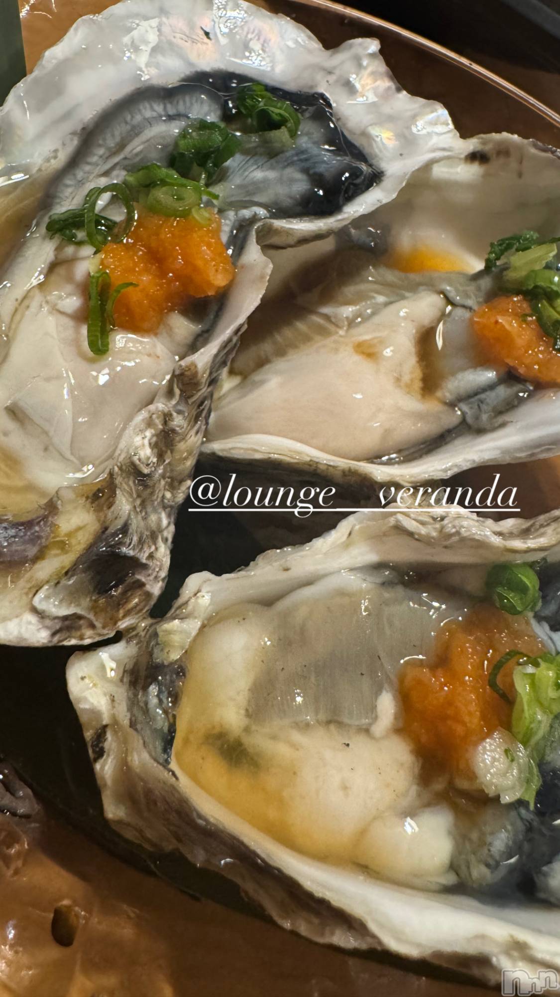 ƲХ顦Lounge Veranda(饦󥸥٥) 2025ǯ512̥֥🌼*