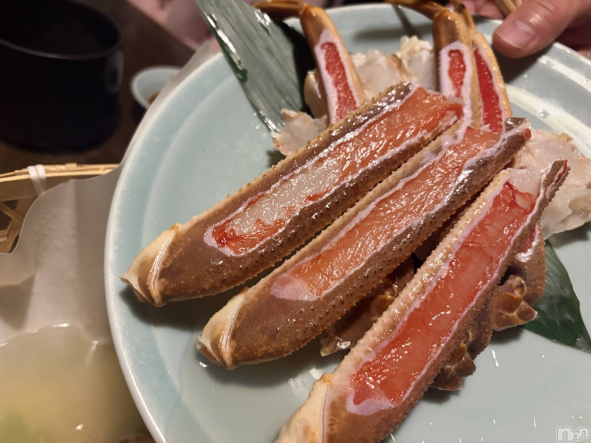 ƲХ顦Lounge Veranda(饦󥸥٥) 2025ǯ128̥֥🌼*