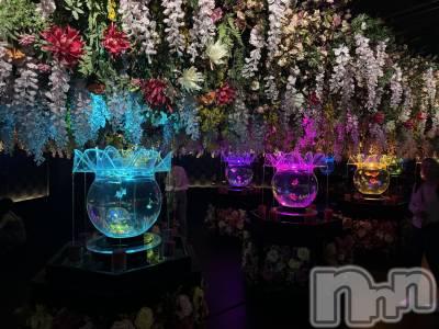 ƲХ顦Lounge Veranda(饦󥸥٥) ޤʤߤ214̥֥🌼*
