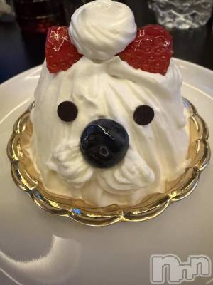 ��Ʋ����Х��顦�����Lounge Veranda(�饦�󥸥٥���) �ޤʤߤ�3��27���̥�֥�����🌼*����