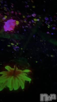 🌼*