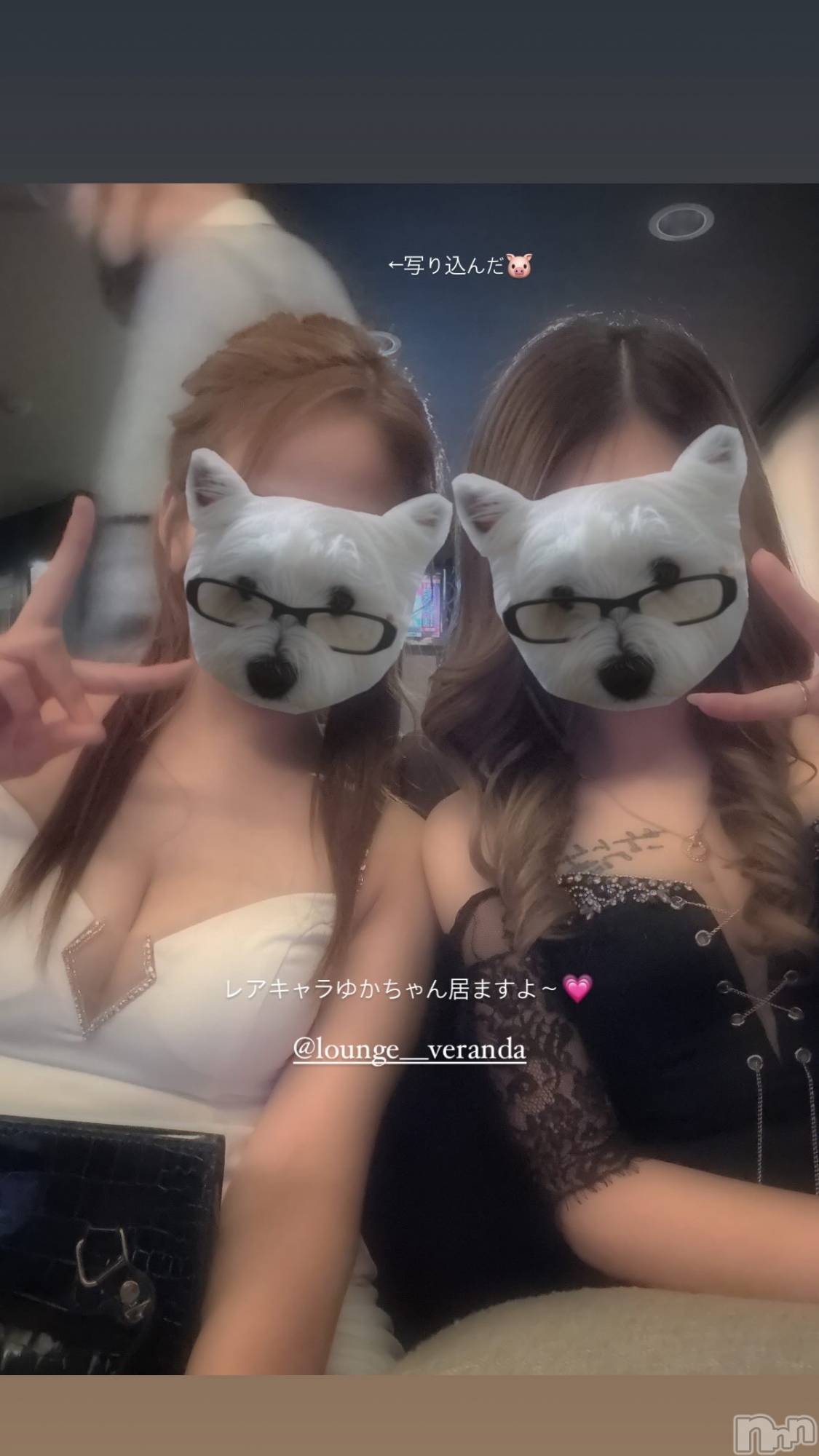 ƲХ顦Lounge Veranda(饦󥸥٥) 2025ǯ53̥֥53 2005ʬΥ֥
