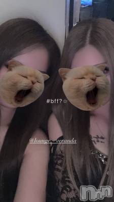 ƲХ顦Lounge Veranda(饦󥸥٥) 913̥֥😺
