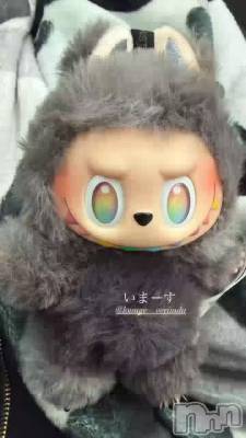 �ɤ衼����