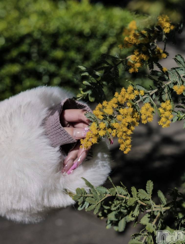 ��Ʋ����Х��顦�����Lounge Veranda(�饦�󥸥٥���) �ޤ��4��3���̥�֥����ֽжФǤ�����