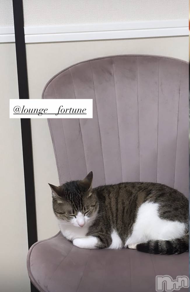 ��Ʋ����Х��顦�����FORTUNE LOUNGE(�ե��������饦��) �ޤ��6��5���̥�֥����ֽжФ��ˤ��