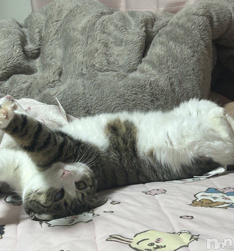 ƲХ顦Lounge Veranda(饦󥸥٥) 2025ǯ515ֽ̥֥жФޤ🐈