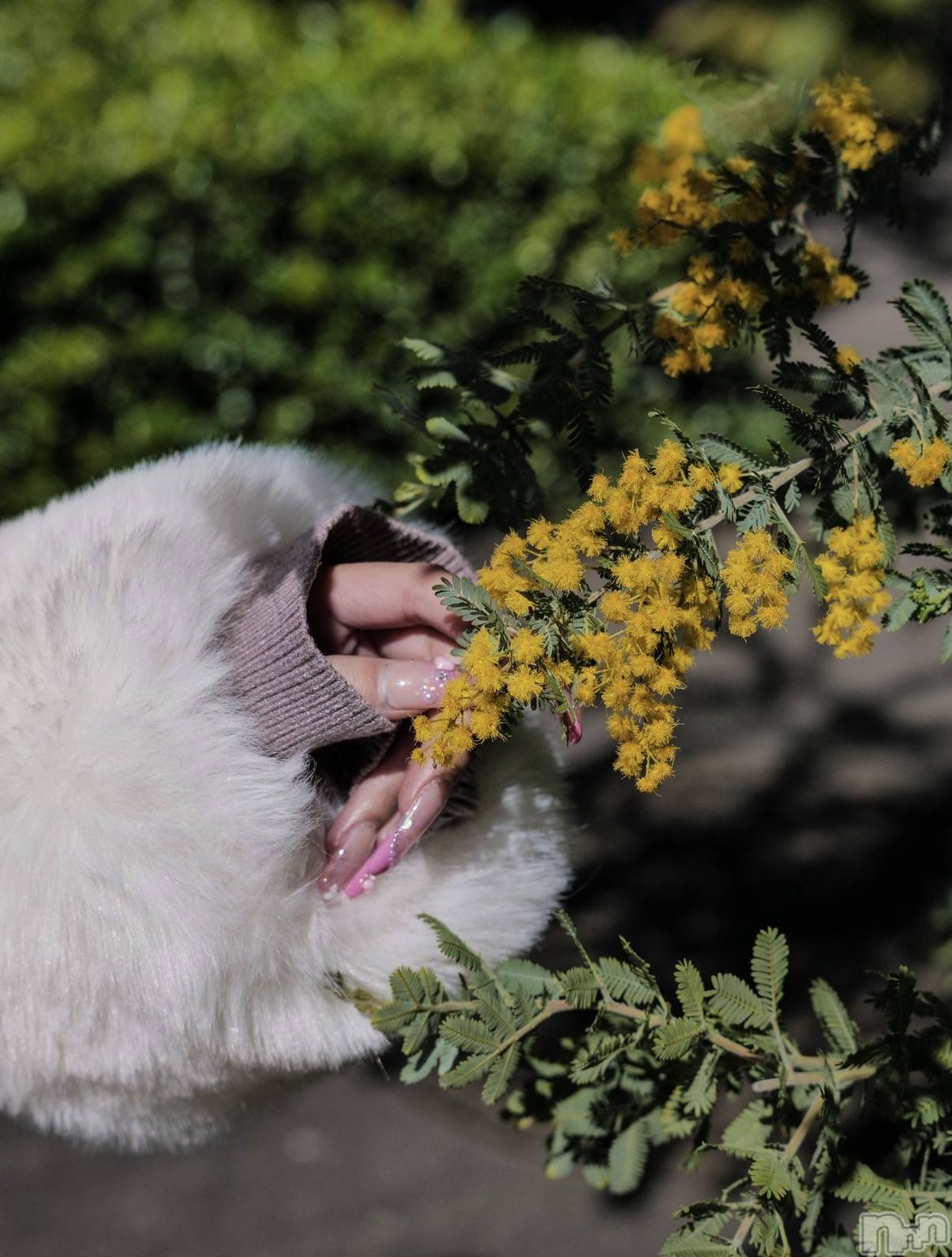 ��Ʋ����Х��顦�����Lounge Veranda(�饦�󥸥٥���) ��2026ǯ4��3���̥�֥����ֽжФǤ�����