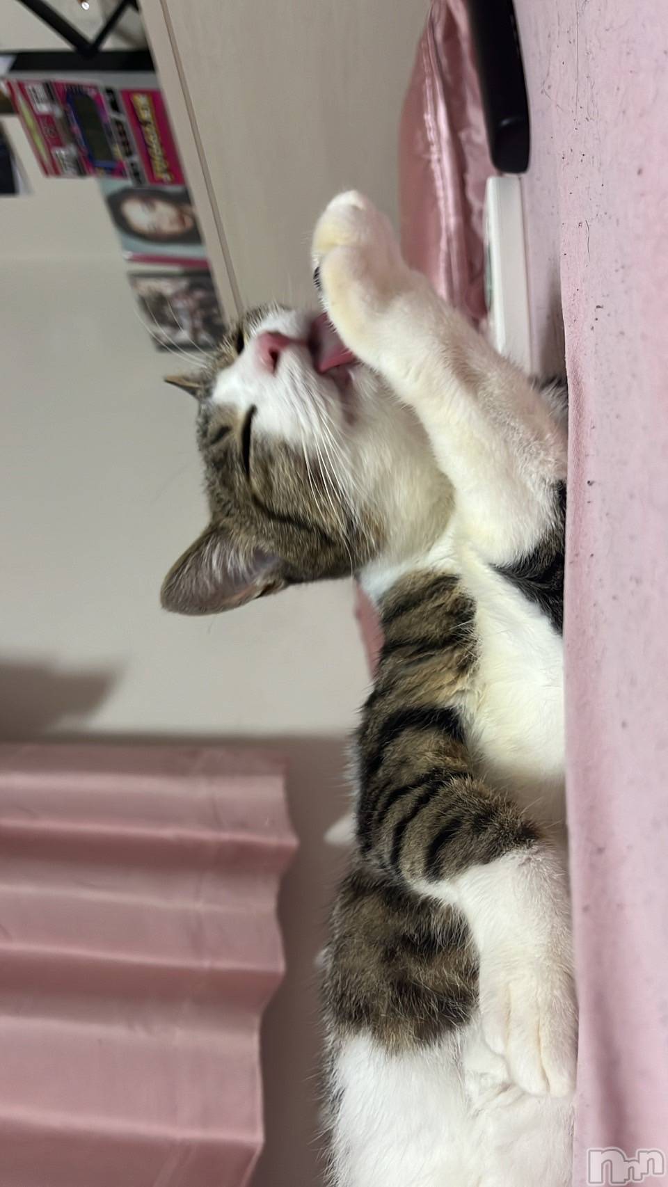 ��Ʋ����Х��顦�����FORTUNE LOUNGE(�ե��������饦��) ��2026ǯ4��14���̥�֥����ֽжФ��ޤ�������