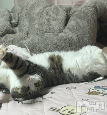 ƲХ顦Lounge Veranda(饦󥸥٥) ޤ515ֽ̥֥жФޤ🐈