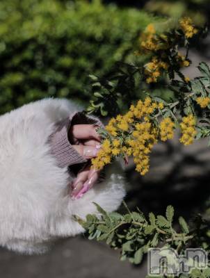 ��Ʋ����Х��顦�����FORTUNE LOUNGE(�ե��������饦��) �ޤ��3��14���̥�֥����ֽжФ��ޤ���♡♡♡��