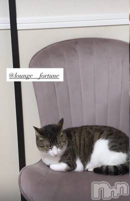��Ʋ����Х��顦�����FORTUNE LOUNGE(�ե��������饦��) �ޤ��6��5���̥�֥����ֽжФ��ˤ��