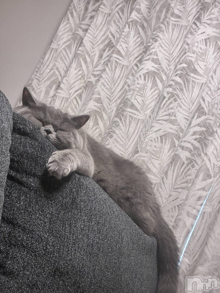 ƲХ顦Lounge Veranda(饦󥸥٥) 1015̥֥֤