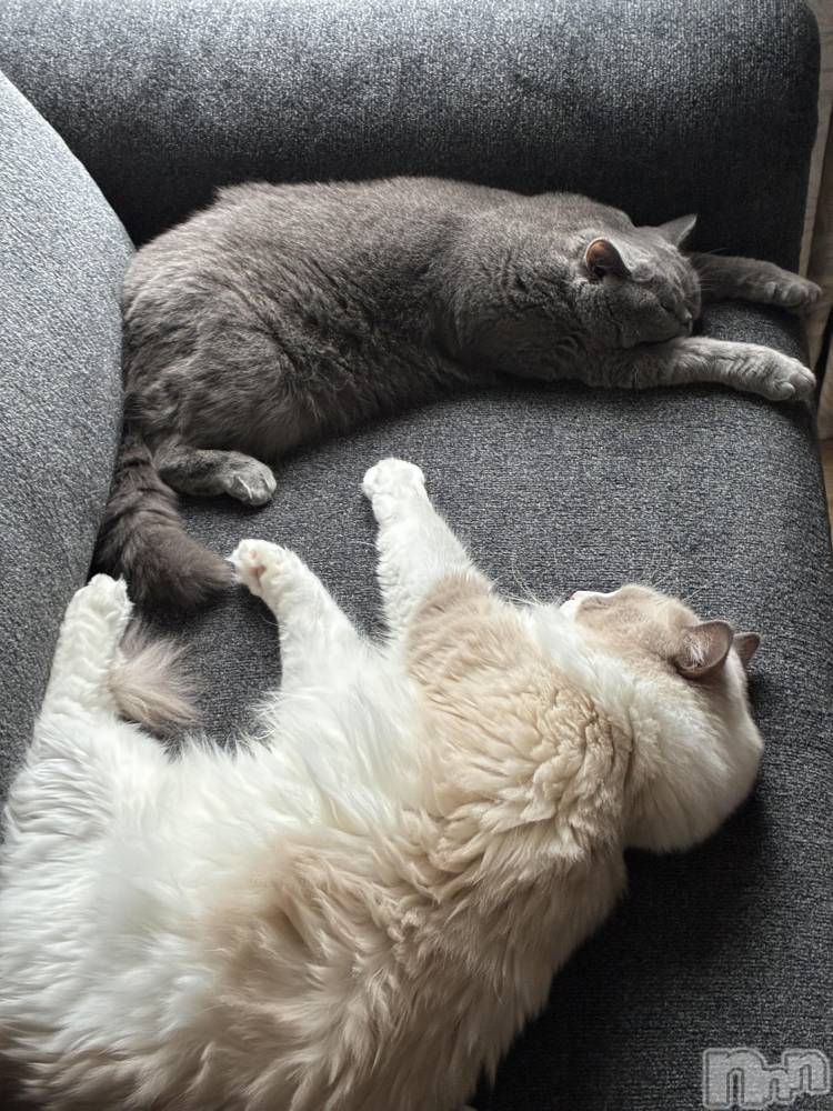 ƲХ顦Lounge Veranda(饦󥸥٥) 1023̥֥֤