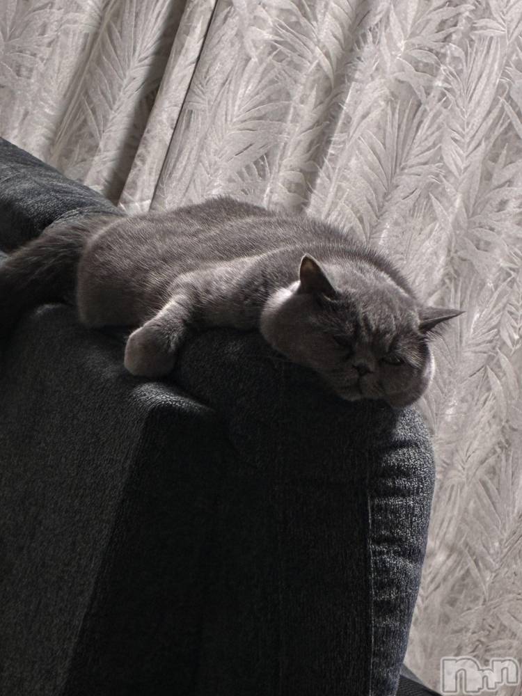 ƲХ顦Lounge Veranda(饦󥸥٥) 1120̥֥֤